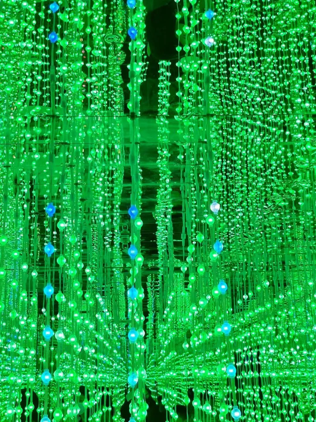 青岛新展！很多小姐姐都去拍照了