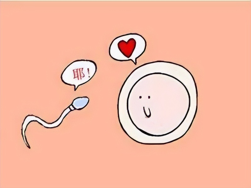 不孕不育有哪些方法解决,不孕不育的人应该怎么办