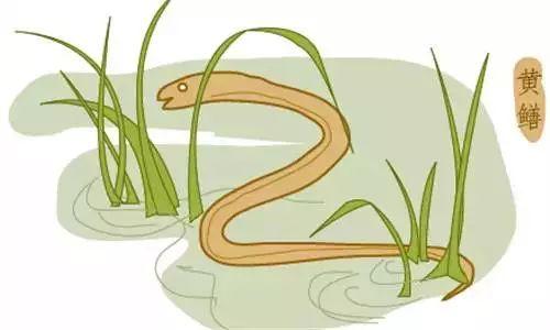 现代故事民间真实故事,现代历史事件故事