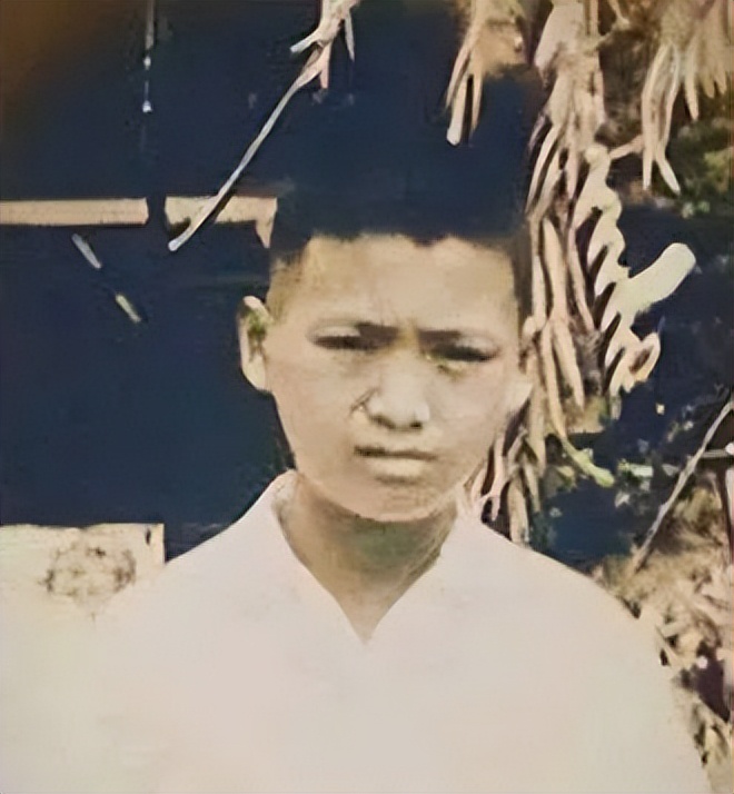 从未捐款过的明星,从来不捐款的明星周润发