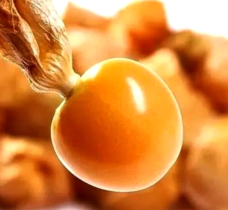 夫妻调解丈夫说出惊人内幕,调解妻子坚决要离婚丈夫爆出隐情