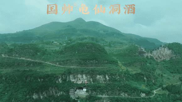 龟仙洞30年酱香,做国帅龟仙洞酱香酒到底赚不赚钱