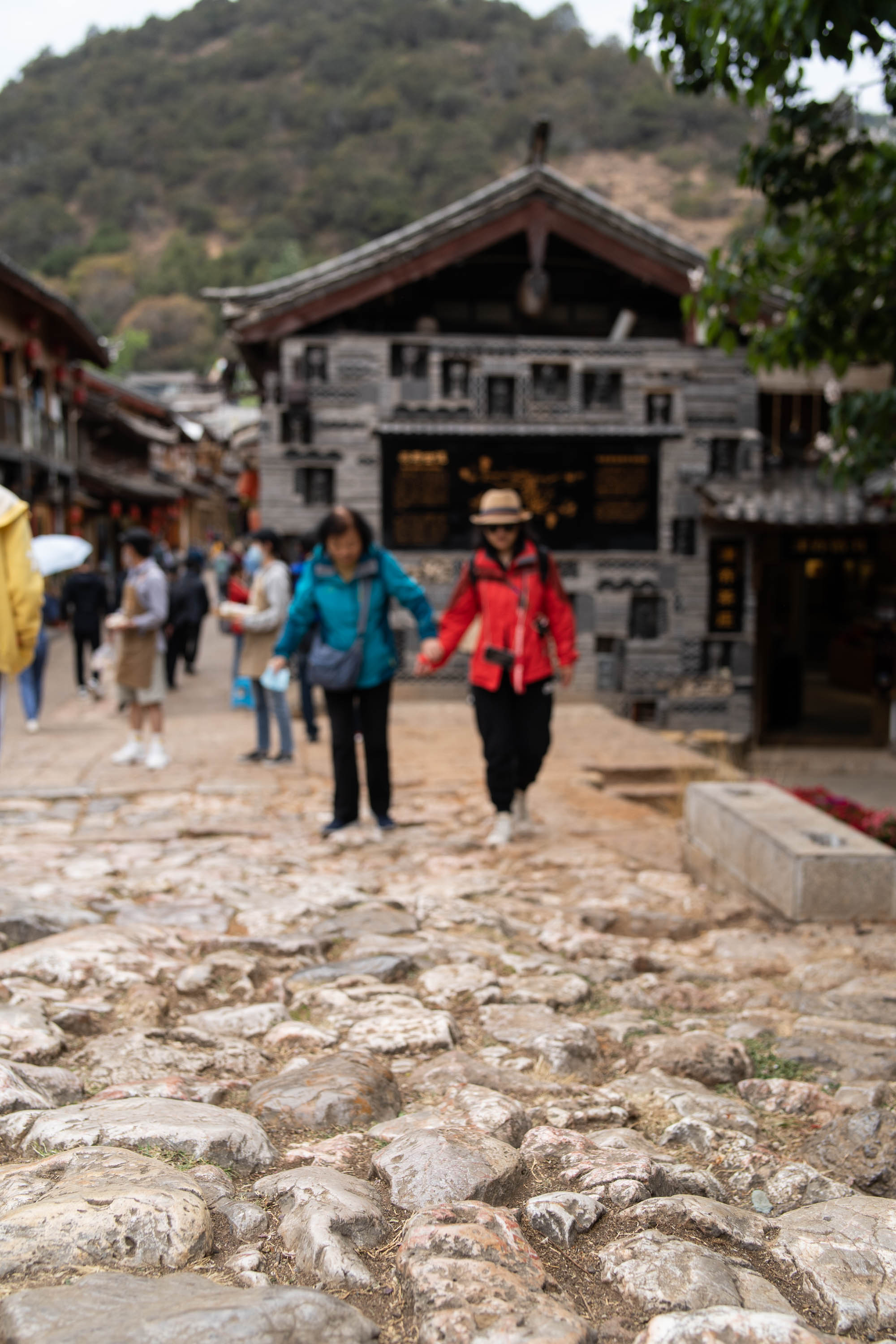 去云南跟团一日游攻略图片大全集,云南六日游跟团路线攻略大全