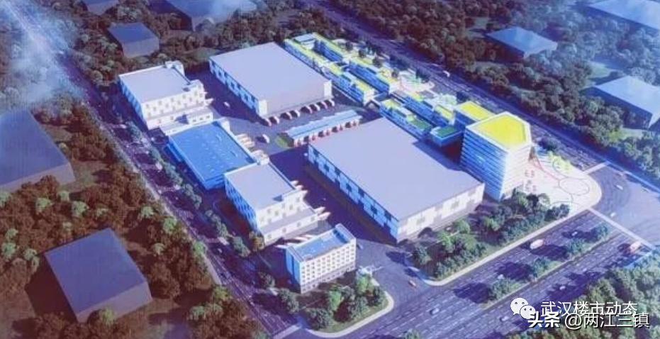 2022大爆发,2023疫情大爆发