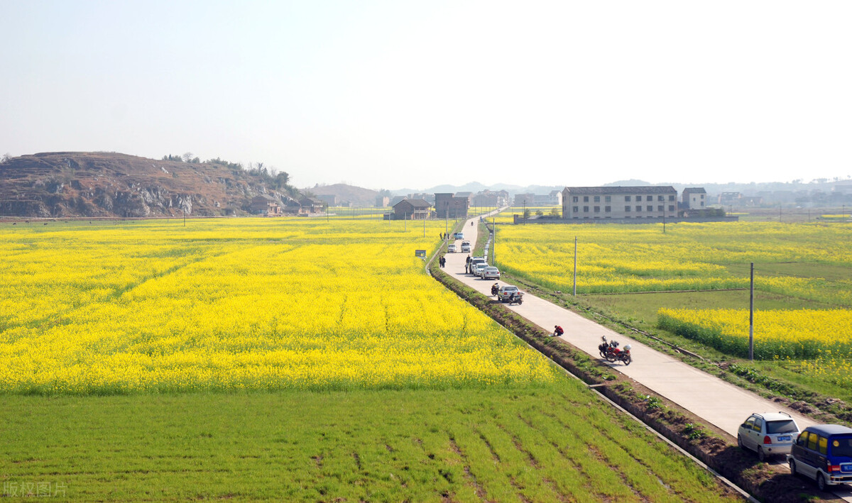 耕地撂荒，地力退化，粮食危机怎么办？专家：让农民种粮不吃亏