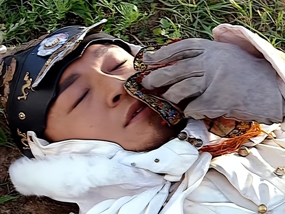 顺治和孝庄有亲生儿子吗,顺治皇帝亲生儿子哪个才华过人