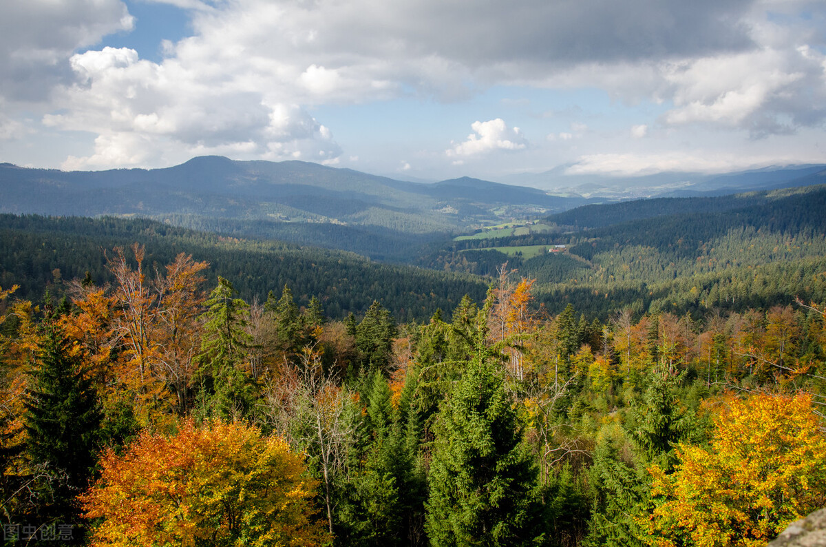 st中捷案件,st中捷被证监会怎么处理