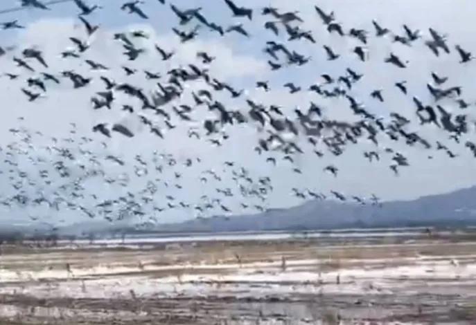 小城的安逸与惬意,美丽的边境小城珲春