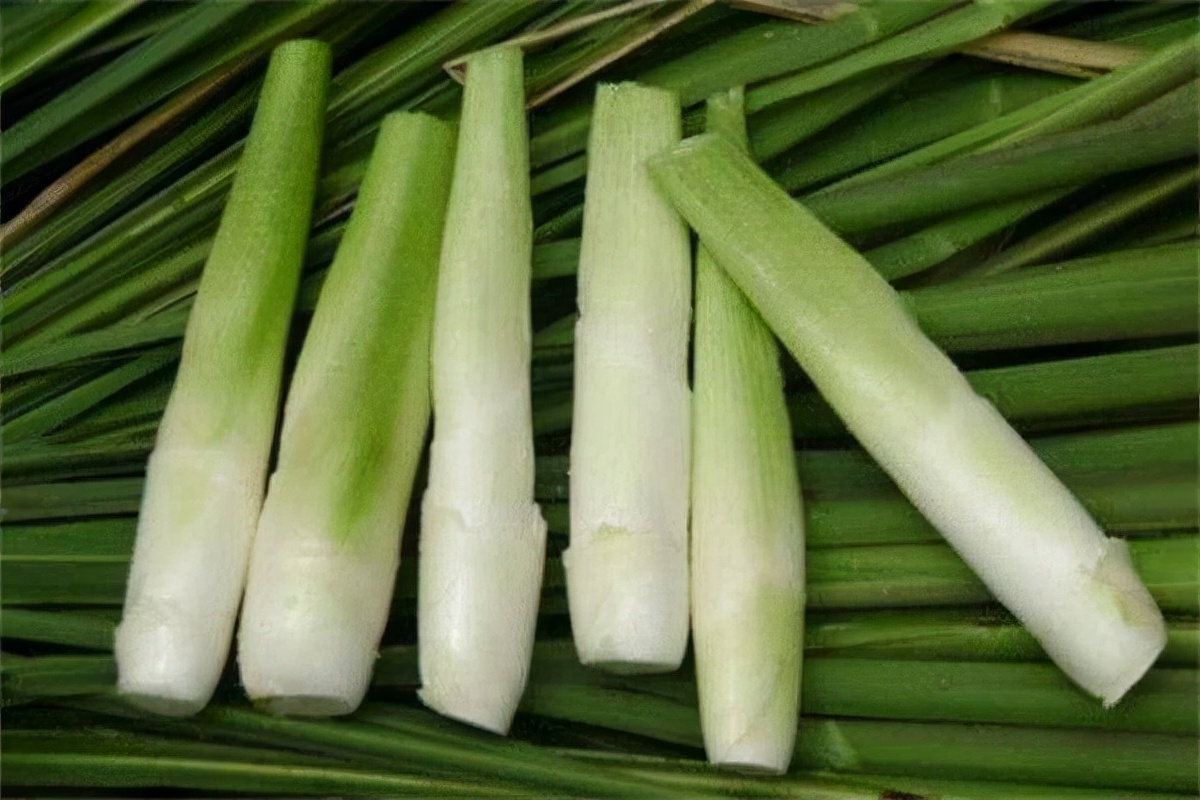 安徽安庆最有名的美食有哪些,安庆特产排行榜前十名