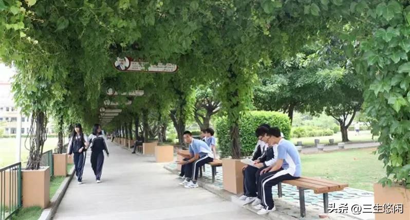 青少年早恋家长应该怎样处理他,学生早恋双方应如何处理