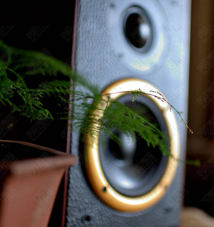 三分频书架式音箱推荐,十款顶级三分频书架音箱