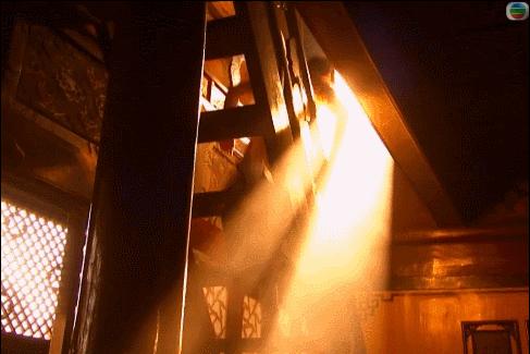 杨不悔黎姿,八版杨不悔