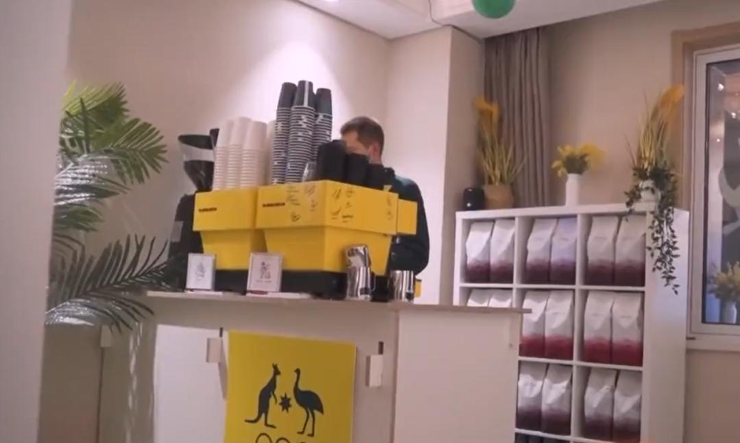 卡塔尔世界杯大洋洲足球队,卡塔尔世界杯足球队到场