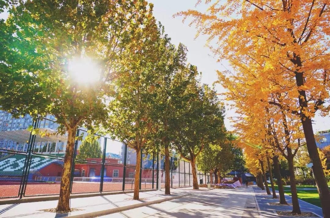 5大“难以拒绝”的理由！告诉你为什么要来北京第二外国语学院！