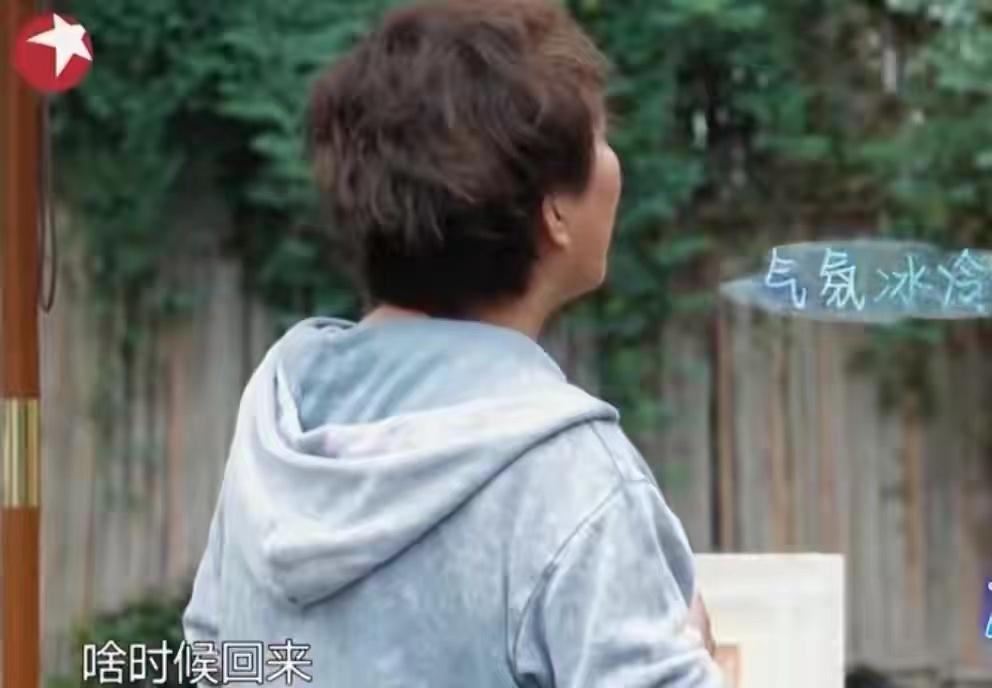 趋炎附势与指鹿为马,何穗陈伟霆被拍视频