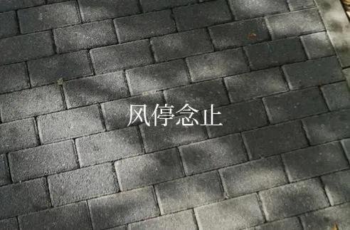 推文——细数知乎那些意难平的精彩言情故事