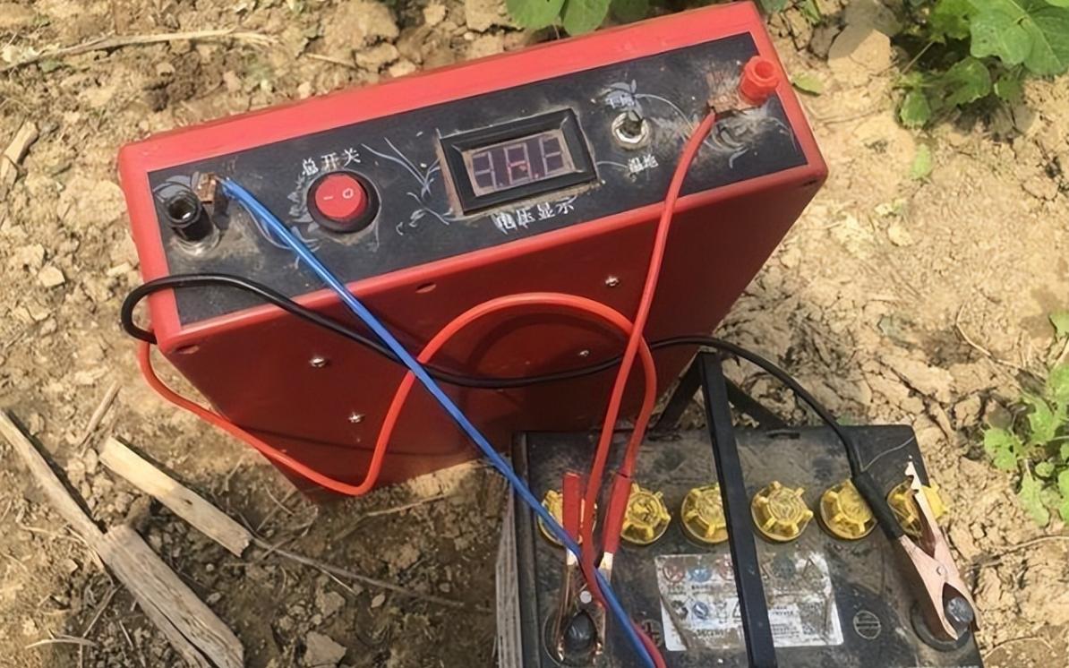 重庆抓蚯蚓违法吗,贵州四人抓蚯蚓被罚20万