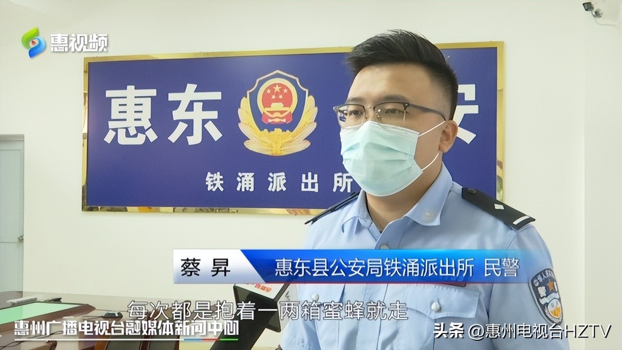 勤劳养蜂人蜜蜂竟被偷,养蜂场偷蜜蜂