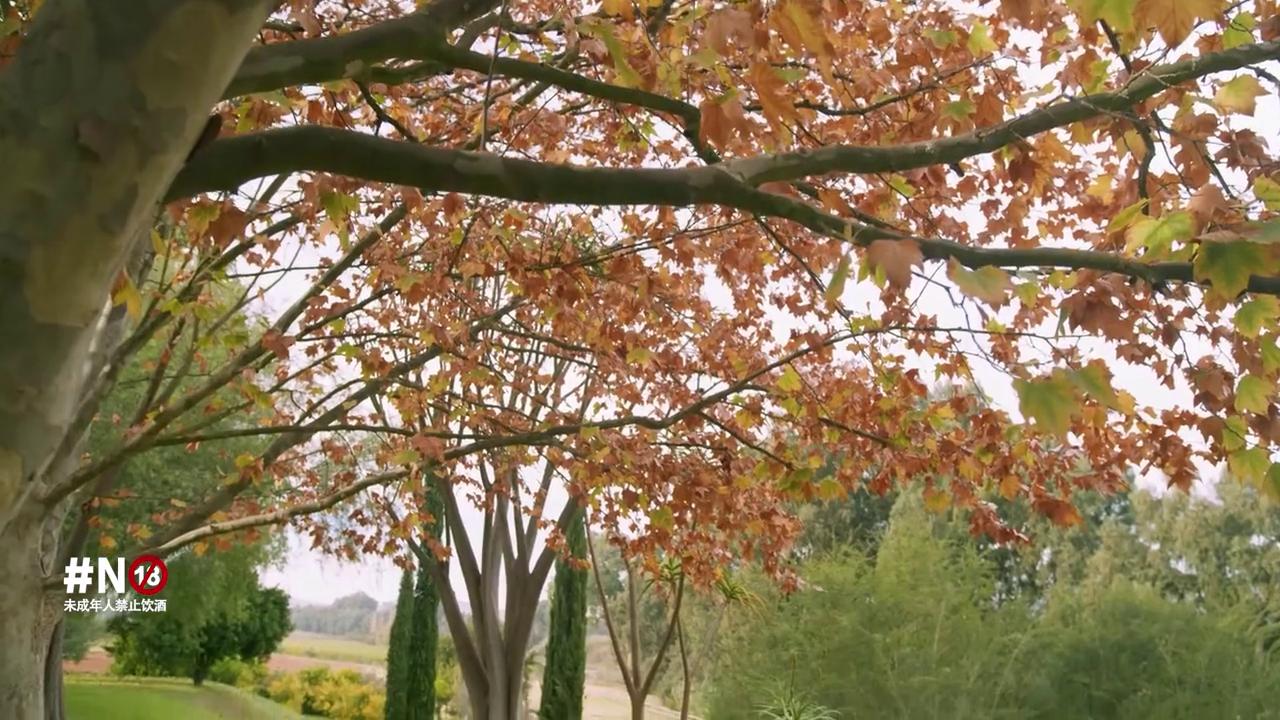 银刺酒庄的经典起泡酒酿酒师——约翰·卢布瑟/JohnLoubser