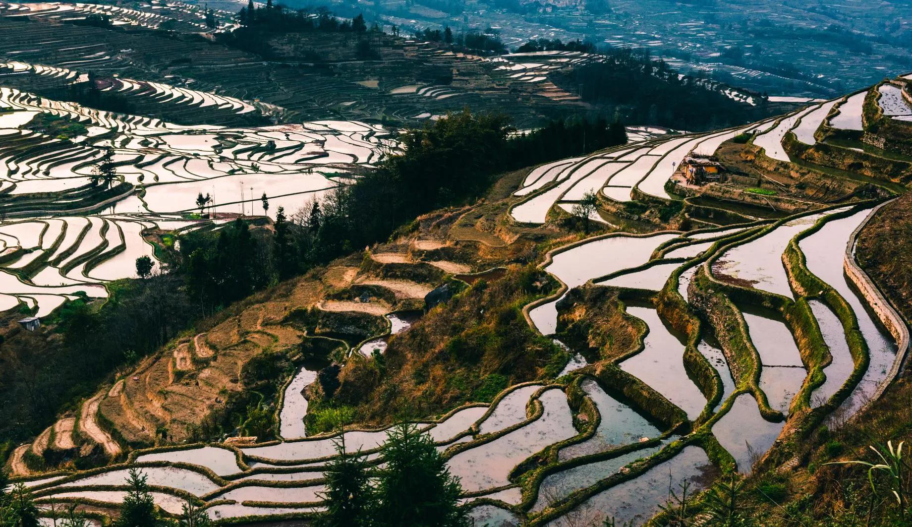 西双版纳10日行——走遍春夏秋冬，总会有人四季等你。