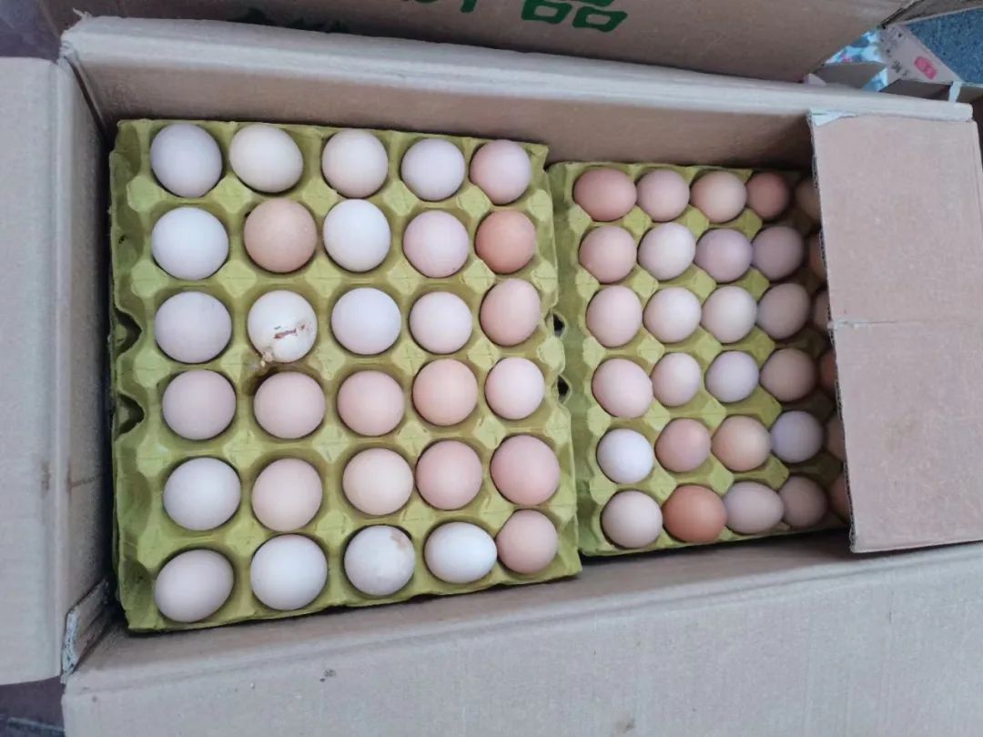 手机下单次日送达！社区微店，靠谱