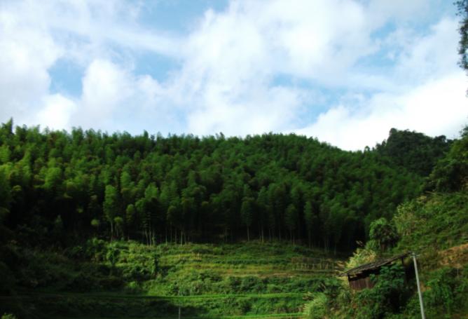 人到中年控制购买欲望,人到中年什么东西都舍不得买