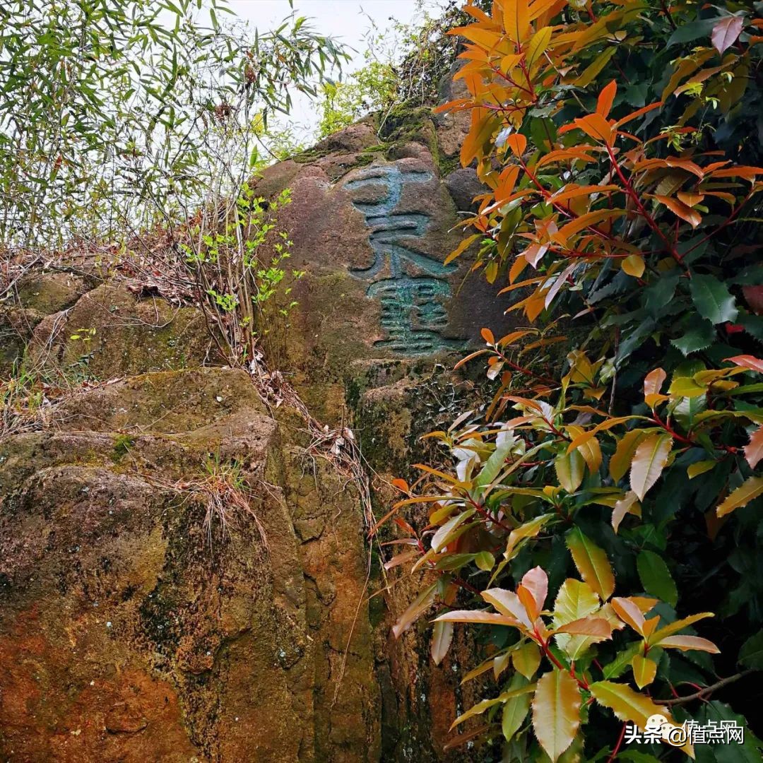 2019苏富比拍卖乾隆珐琅彩瓶,大清乾隆珐琅彩拍卖成交记录