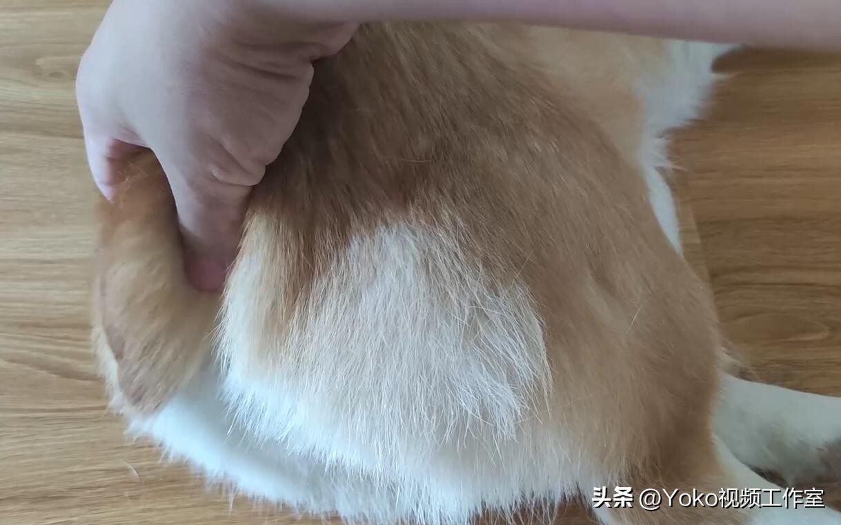 想买电脑父母不让怎么办,实体店买电脑有多坑