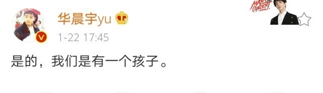 是的，我们有一个孩子，我们各有一个“伴”