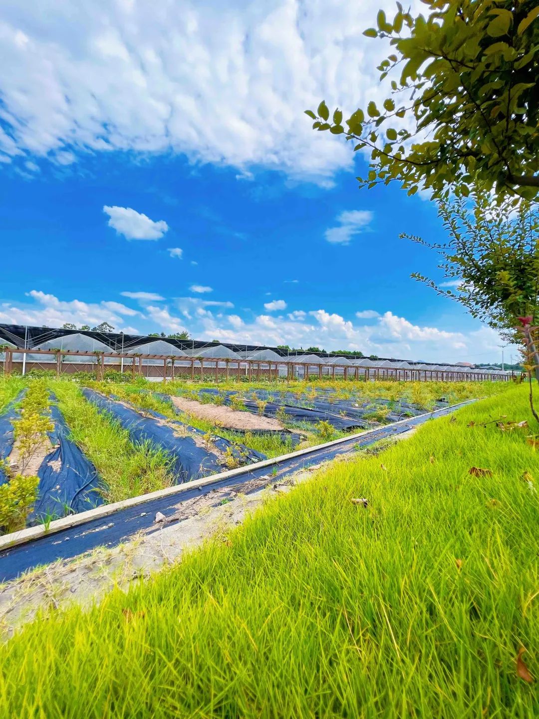 鄂州梁子湖：补贴、奖励......梁子湖区招才引智“放大招”！