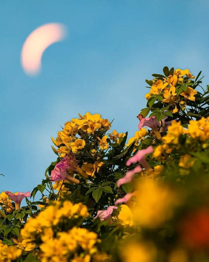 夫妻之间的关系离结束不远,真正夫妻争吵过后还是在一起