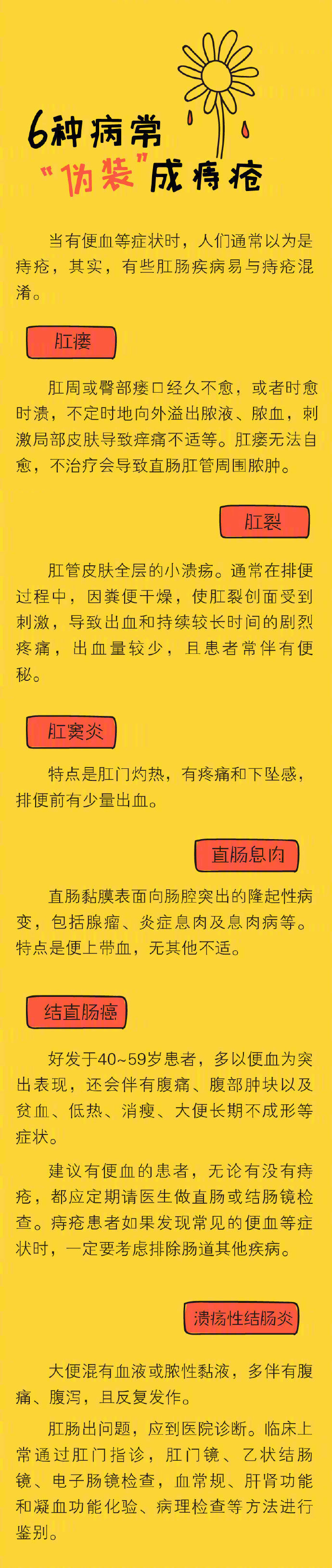 痔疮套扎手术的操作流程,痔疮内痔手术的操作流程