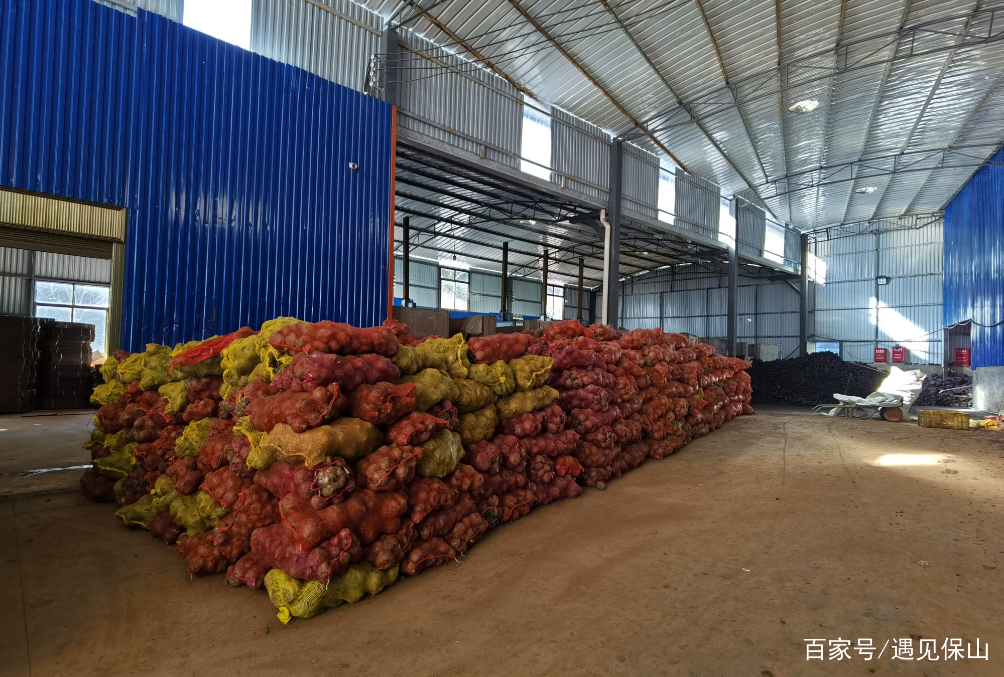 魔芋产业奏响乡村振兴进行曲,魔芋产业助推乡村振兴示意图