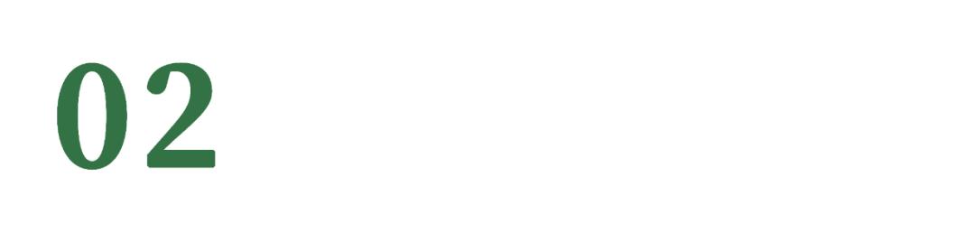 「探星人计划」兰溪这所学校的“特殊”孩子，值得被更多人看见