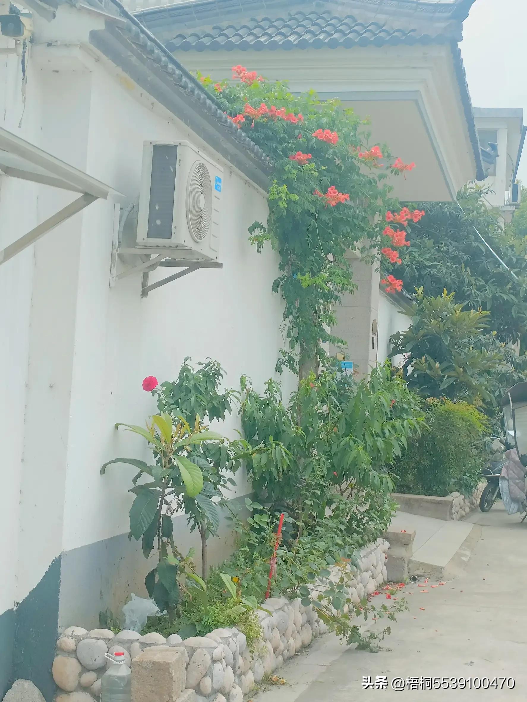 苏州洞庭西山有什么好玩的,苏州太湖东山还是西山好玩