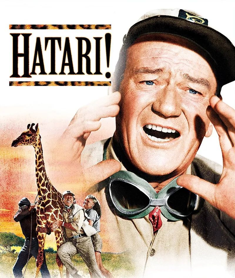 不要抬头看月亮知乎,不要抬头看月亮免费全文