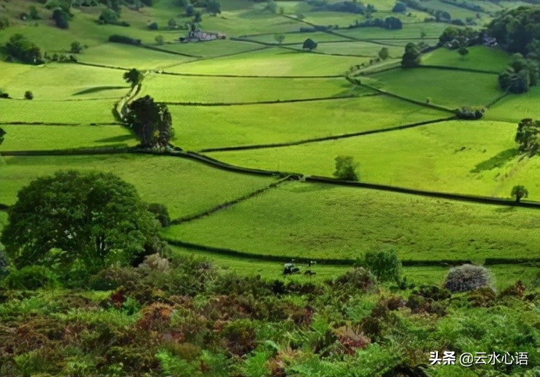 关于陆游的忧愁诗句,陆游最雄浑苍凉的一首诗