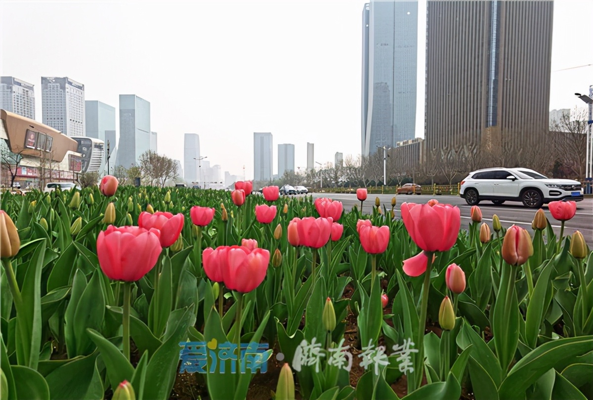 利国谈｜济南经三路现象的启示：城市会“表达”，软实力更强大