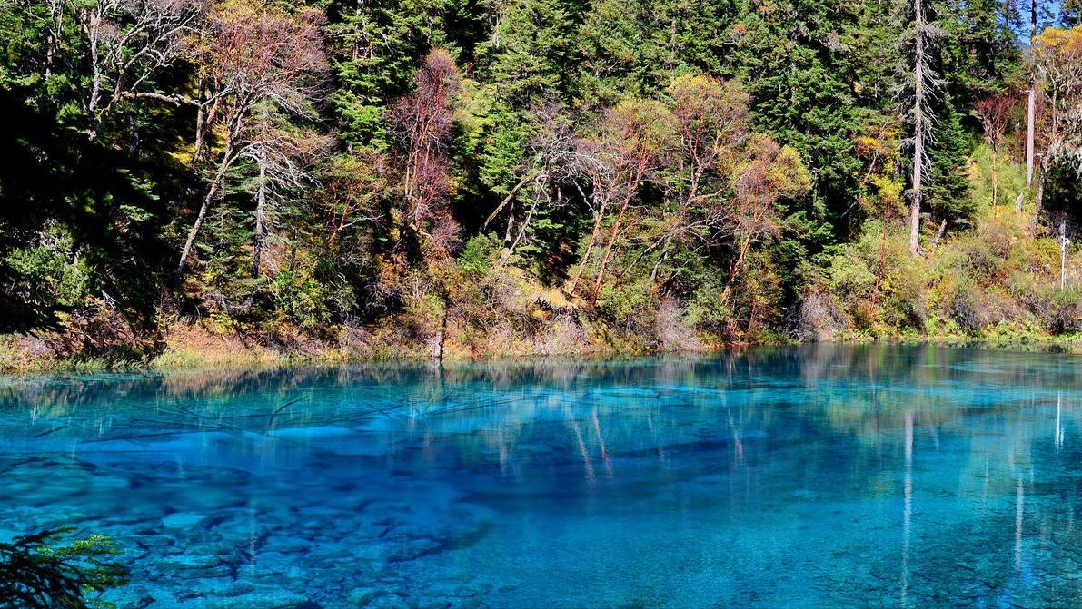 柳州个人游四川九寨沟旅游攻略,从青海去四川九寨沟旅游攻略