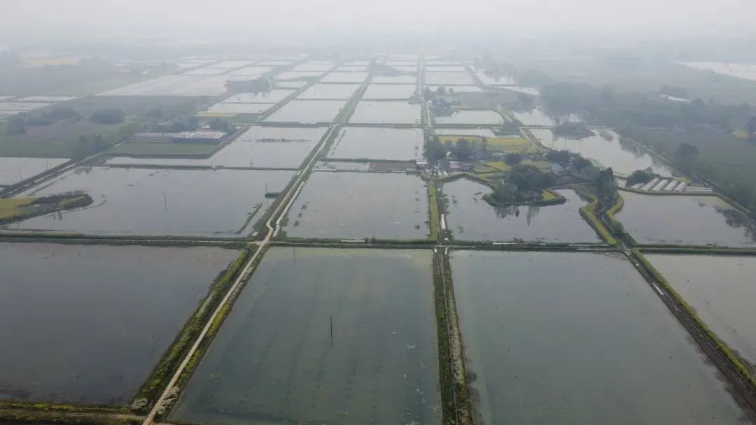 请查收！20个农业重大项目投资机会清单出炉！