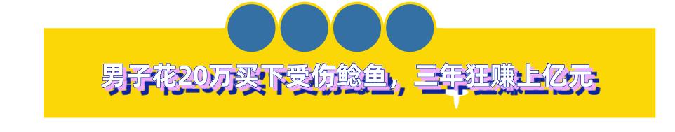 男子花20万买受伤鲶鱼,男子花20万买了一条受伤的鱼