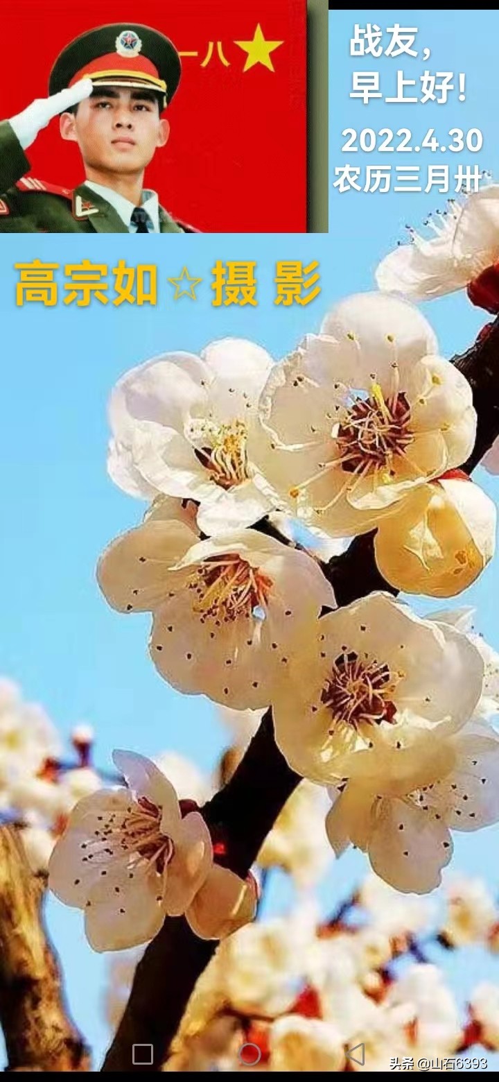 崔秀春“做核酸小景”、郭福成《阮郎归抗新冠》（三首）