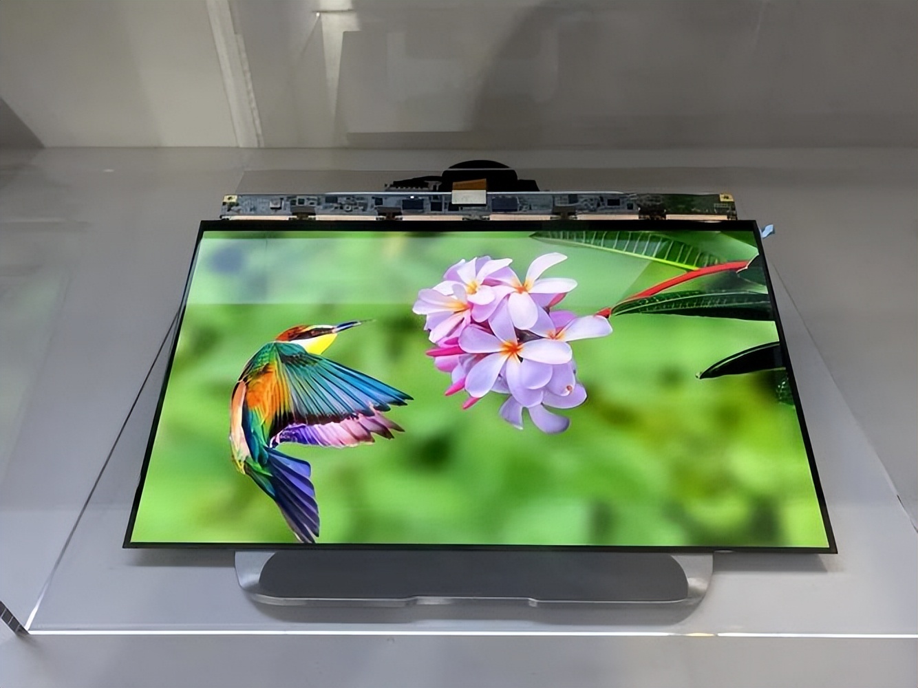 京东方boe大尺寸智慧屏评测,京东方boe手机屏幕技术