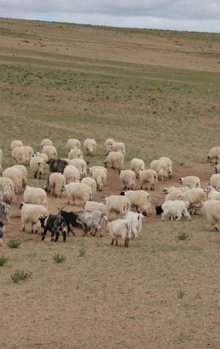 夫妻带5岁儿子环游世界,小夫妻带5岁孩子旅游边走边看