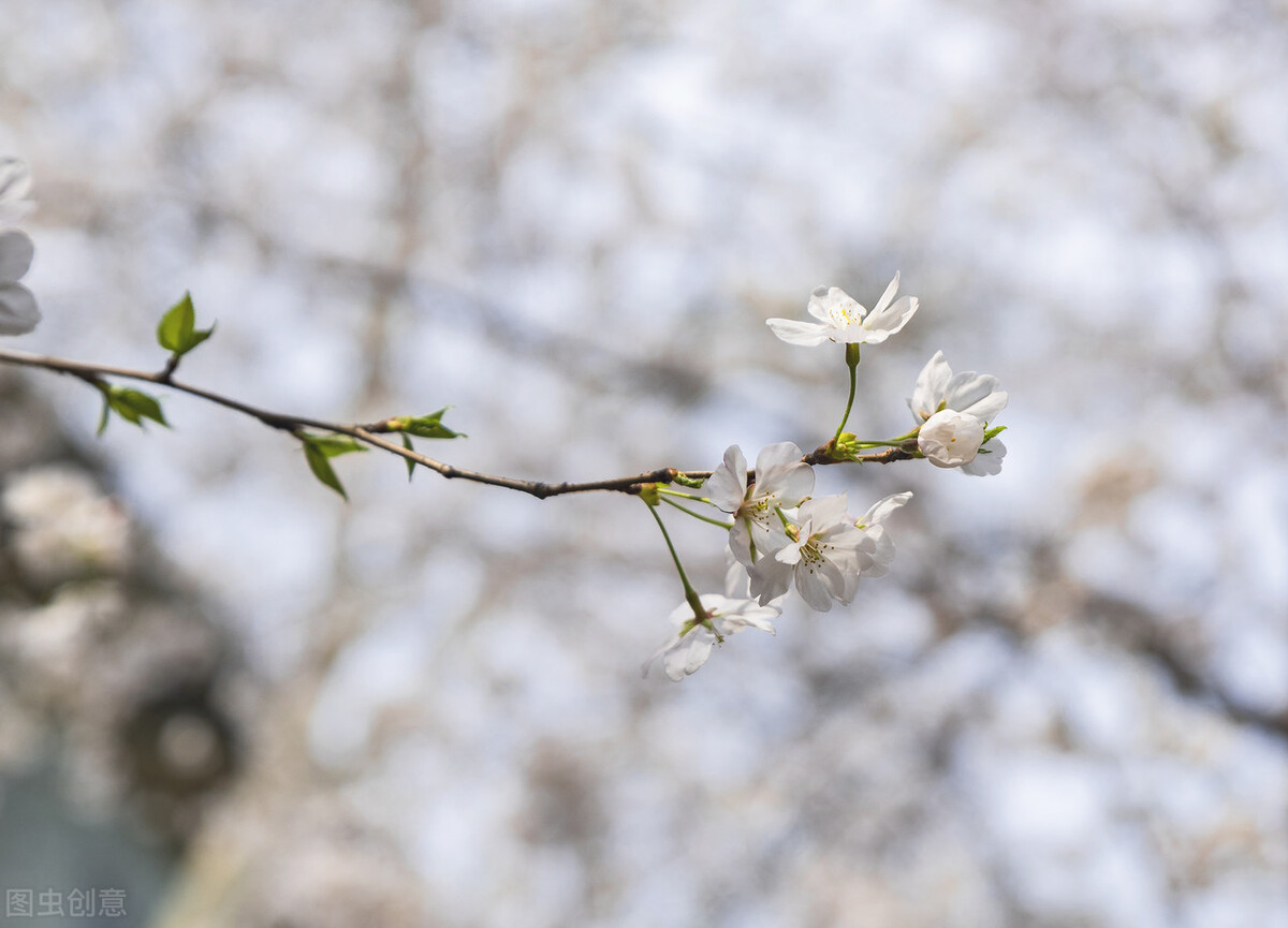 问号的内涵,问号的认识