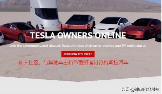 特斯拉是如何进行国际营销布局的,特斯拉影响力有多强