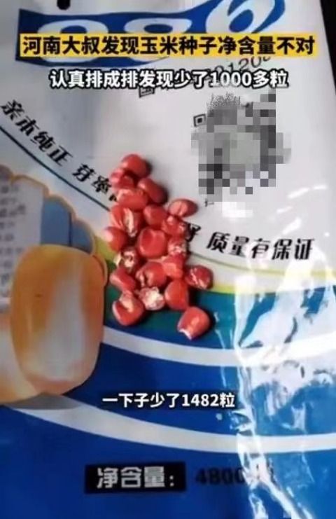 农民伯伯买4800粒玉米种子，倒出来数完只有3118粒，网友大骂商家