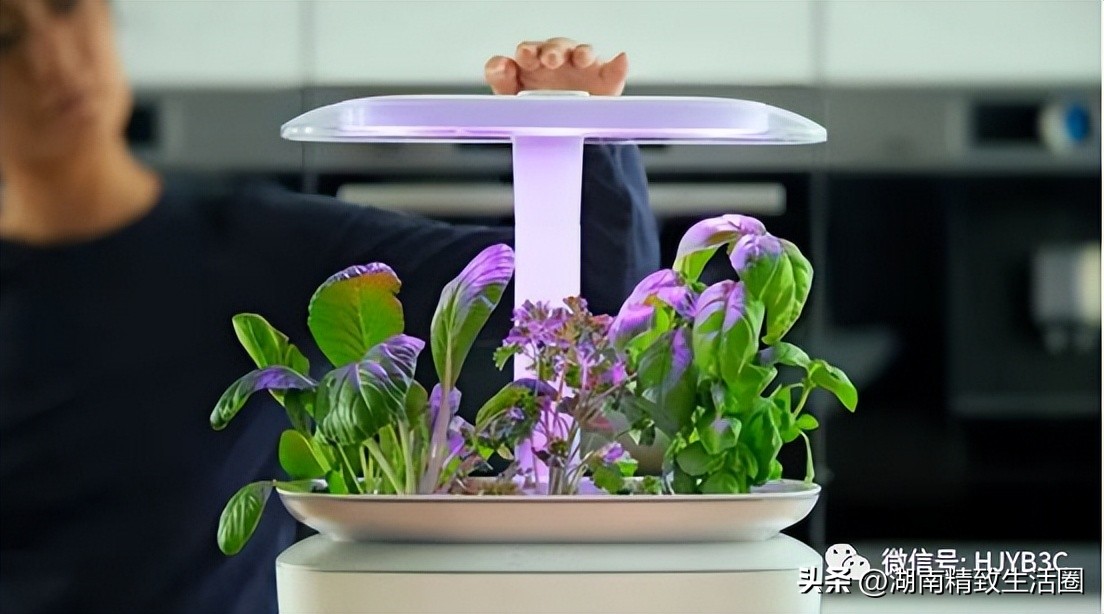 智能蔬果种植机,室内智能蔬菜种植机