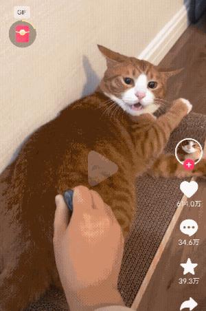 vivo手机截屏功能在哪里设置,oppo手机的截屏功能在哪里