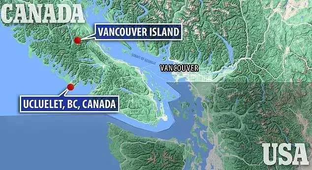 疯狗浪是什么样子的,疯狗浪的意思是什么